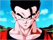 Gohan Definitivo.jpg (10 kB) Gohan Definitivo confiado