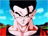 Gohan confiado