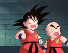 Goku and Krillin