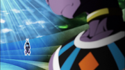 Beerus 01