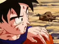 DBZ - 224 -(by dbzf.ten.lt) 20120303-15201406