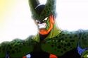 Semi-Perfect Cell angry
