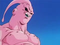 Dbz245(for dbzf.ten.lt) 20120418-17260201