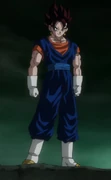 Vegito's overall appearance.