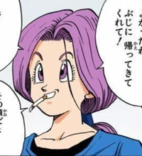 Bulma del futuro 4