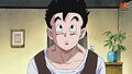 Gohan