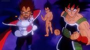 Saiyans1