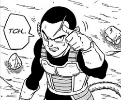 ドラゴンボール - leek Leek | Dragon Ball Wiki | Fandom