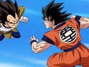 Son Goku vs. Vegeta.