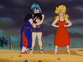 Chi-Chi believes Goku has been killed by the blast