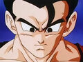 Dbz248(for dbzf.ten.lt) 20120503-18223931