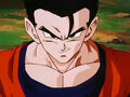 Dbz248(for dbzf.ten.lt) 20120503-18265885