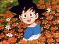 Goku Jr. in a flower patch