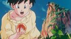 Videl finds a Dragon Ball