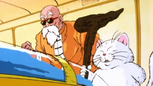 Kamé Sennin arc saiyan.png