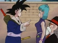 Goku and Bulma note the difference in their heights has changed considerably