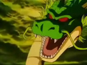 Shenron