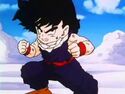 Gohan Training