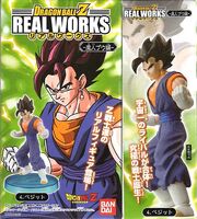 RealWorks2Vegetto