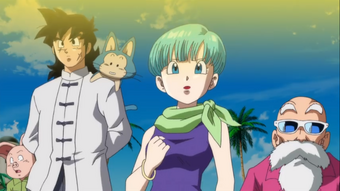 Bulma Dragon Ball Wiki Fandom A terra está em paz depois do fim do 'torneio do poder'. bulma dragon ball wiki fandom