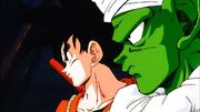Goku e Junior