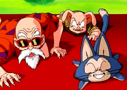 Roshi,OolongandPuarInfected