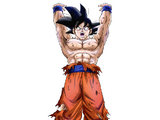 Son Goku (mundo paralelo)