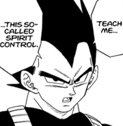 Vegeta Spirit Control