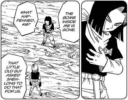 Android 18 Dragon Ball Wiki Fandom Android 18 Dragon Ball Wiki Fandom