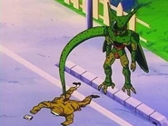 Cell absorbe.jpg (87 kB)