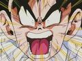 Gohan angry against Spice and Vinegar