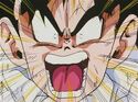 Gohan angry against Spice and Vinegar