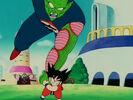 Piccolo's rematch with Goku
