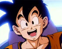 Gohan sent to a Battle Zone