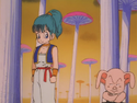 Bulma in a gypsy outfit