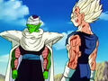 Piccolo and Vegeta