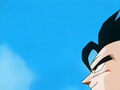 Dbz248(for dbzf.ten.lt) 20120503-18254127