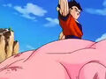 Dbz249(for dbzf.ten.lt) 20120505-11573637