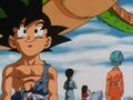 Goku thanking Shenron after granting the final wish