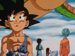 Until We Meet Again, Dragon Ball Wiki