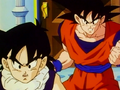 Gohan and Goku