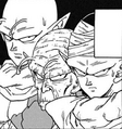 Piccolo and the two Namekians who inhabit his body