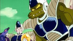 Berry, Dragon Ball Wiki