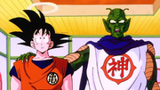 Kami speaks on Goku's Behalf