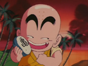 Krillin with Roshi's stone