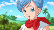 Bulma Resurrection F 2