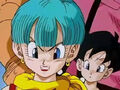 Dbz242(for dbzf.ten.lt) 20120404-16111999