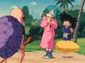 Bulma thanks Roshi