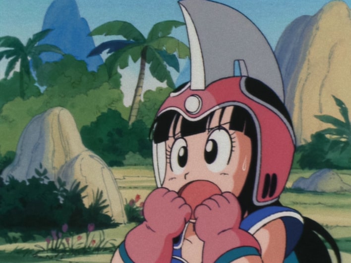 Chi-Chi's Helmet | Dragon Ball Wiki | Fandom Chi-Chi's Helmet | Dragon Ball Wiki | Fandom