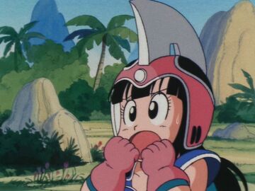 Chi-Chi's Helmet | Dragon Ball Wiki | Fandom